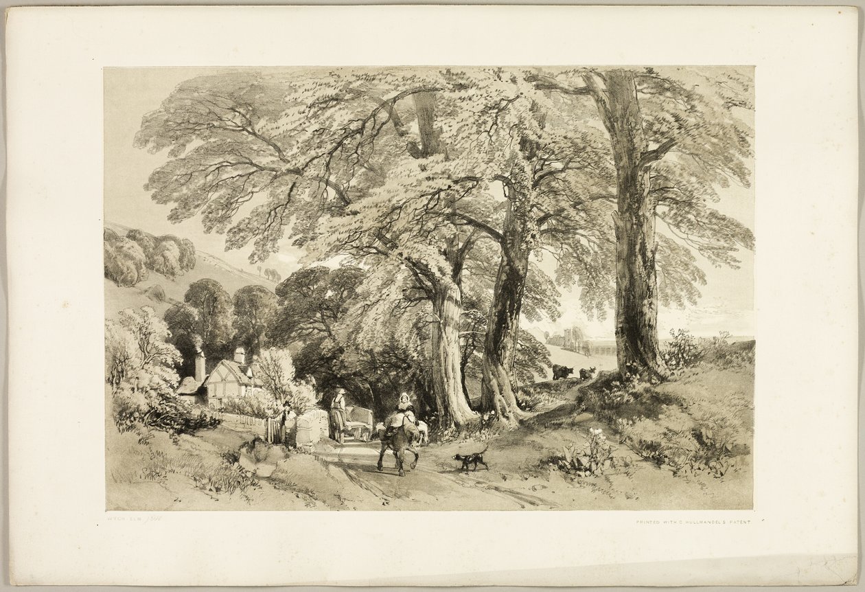 Orme de Wych, de Le Parc et la Forêt - James Duffield Harding