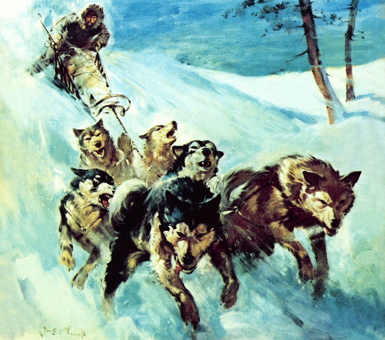 Le Husky canadien - James Edwin McConnell