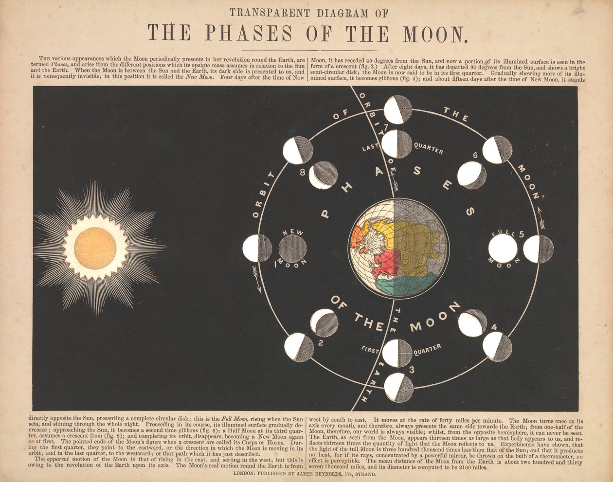 Diagramme transparent des phases de la lune - James & Emslie John (1813 75) Reynolds