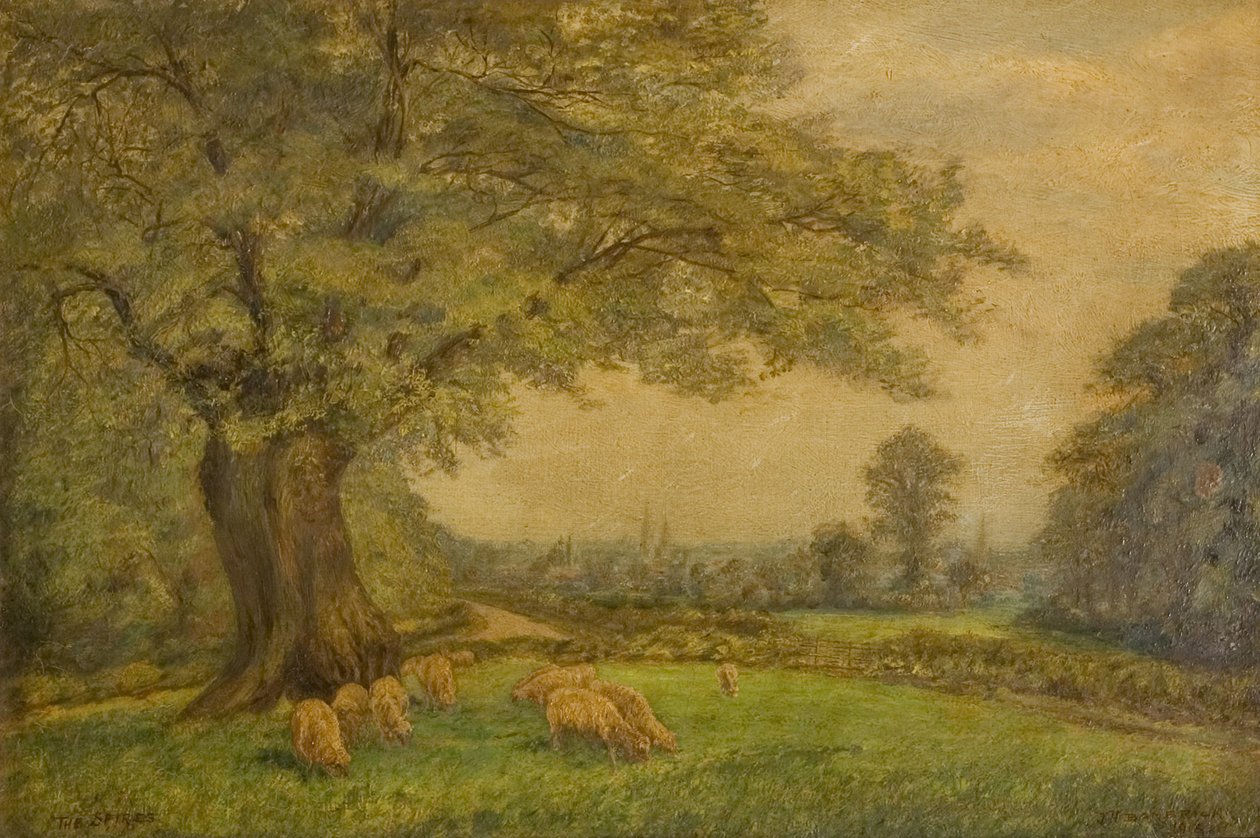 Les clochers de Coventry vus de loin - James Henry Bambrick