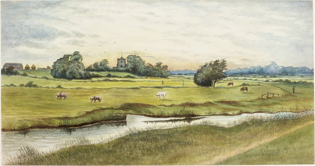 Ryton Meadows - James Henry Cleet