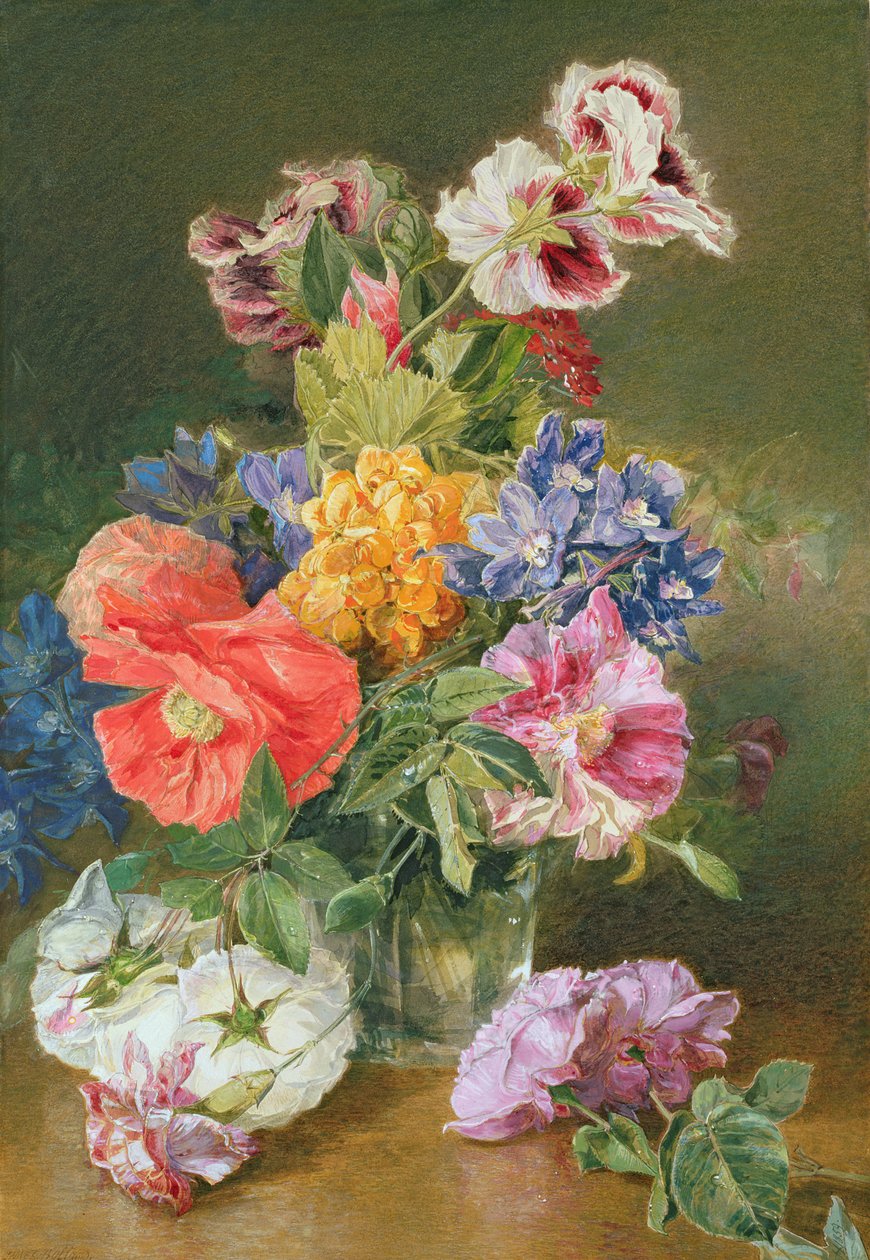 Roses, coquelicot et pélargonium - James Holland