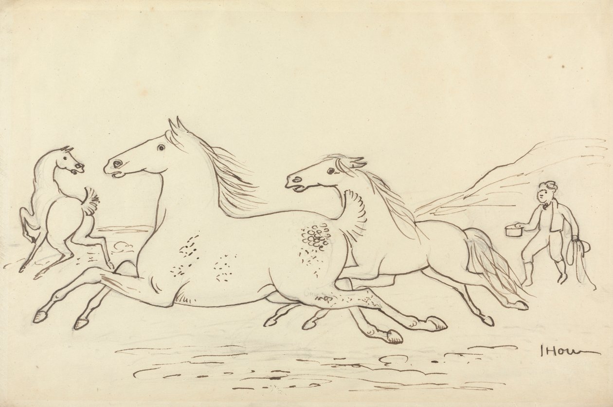 Trois chevaux et un garçon d