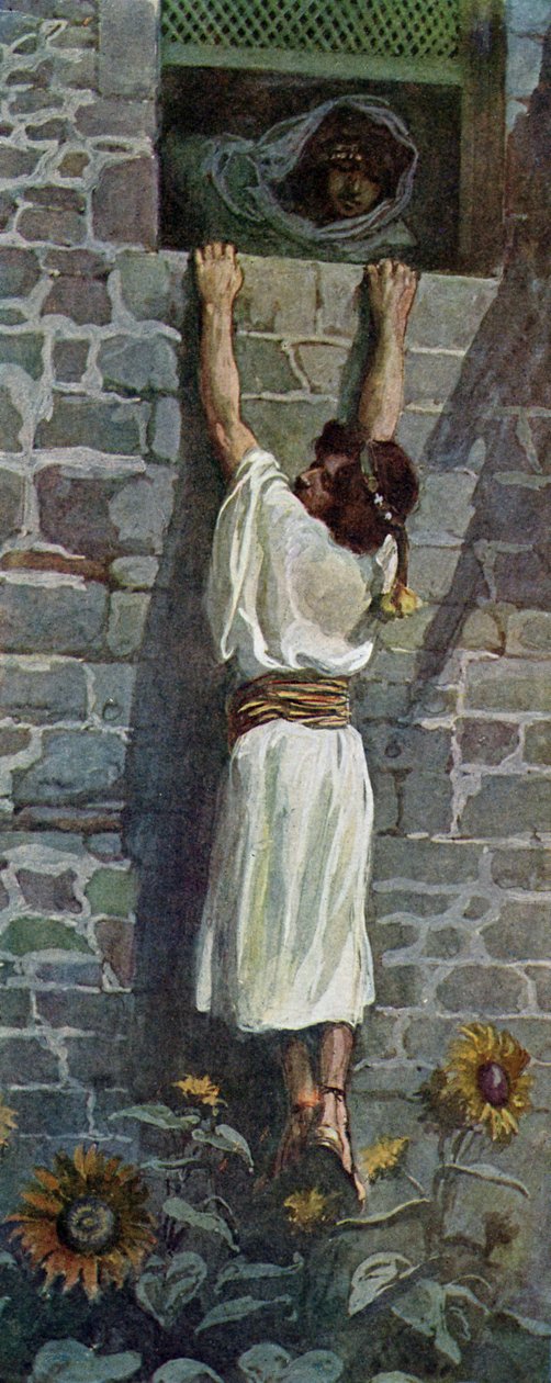 David s