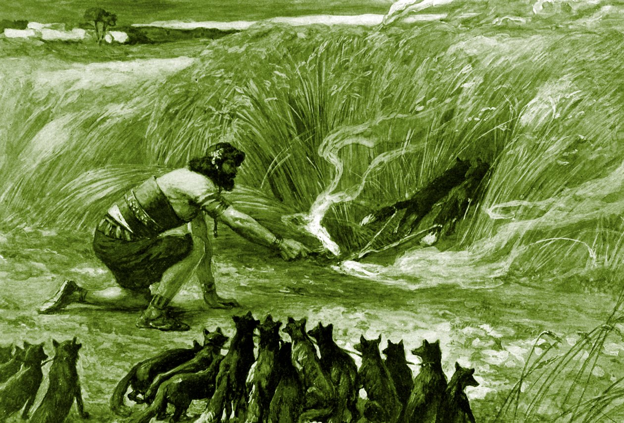 Samson et les renards - Bible - James Jacques Joseph after Tissot