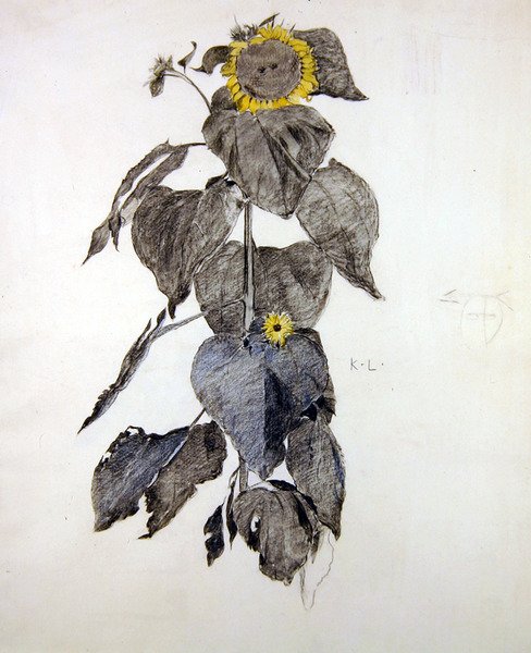 Tournesols - James Kerr Lawson