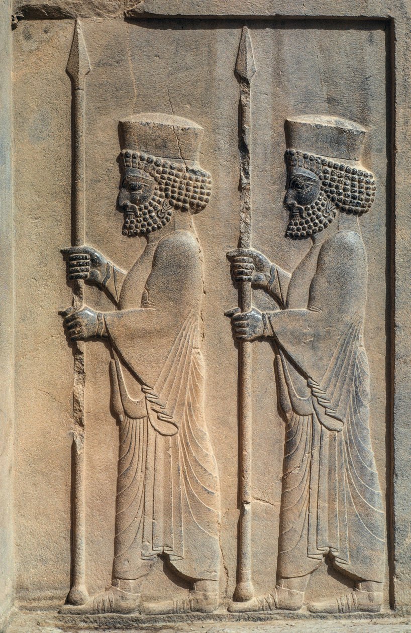 Un relief sculpté à Persépolis. Darius Ier a commencé à construire sa capitale cérémonielle - James L Stanfield