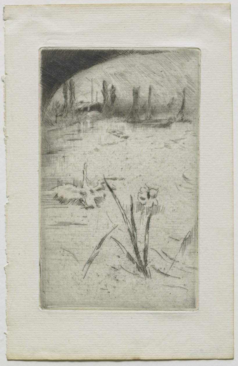 Cygne et iris - James McNeill Whistler