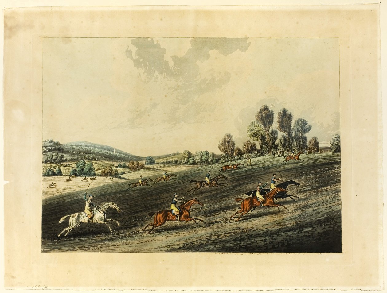 Saint Albans Grand Steeple Chase - James Pollard