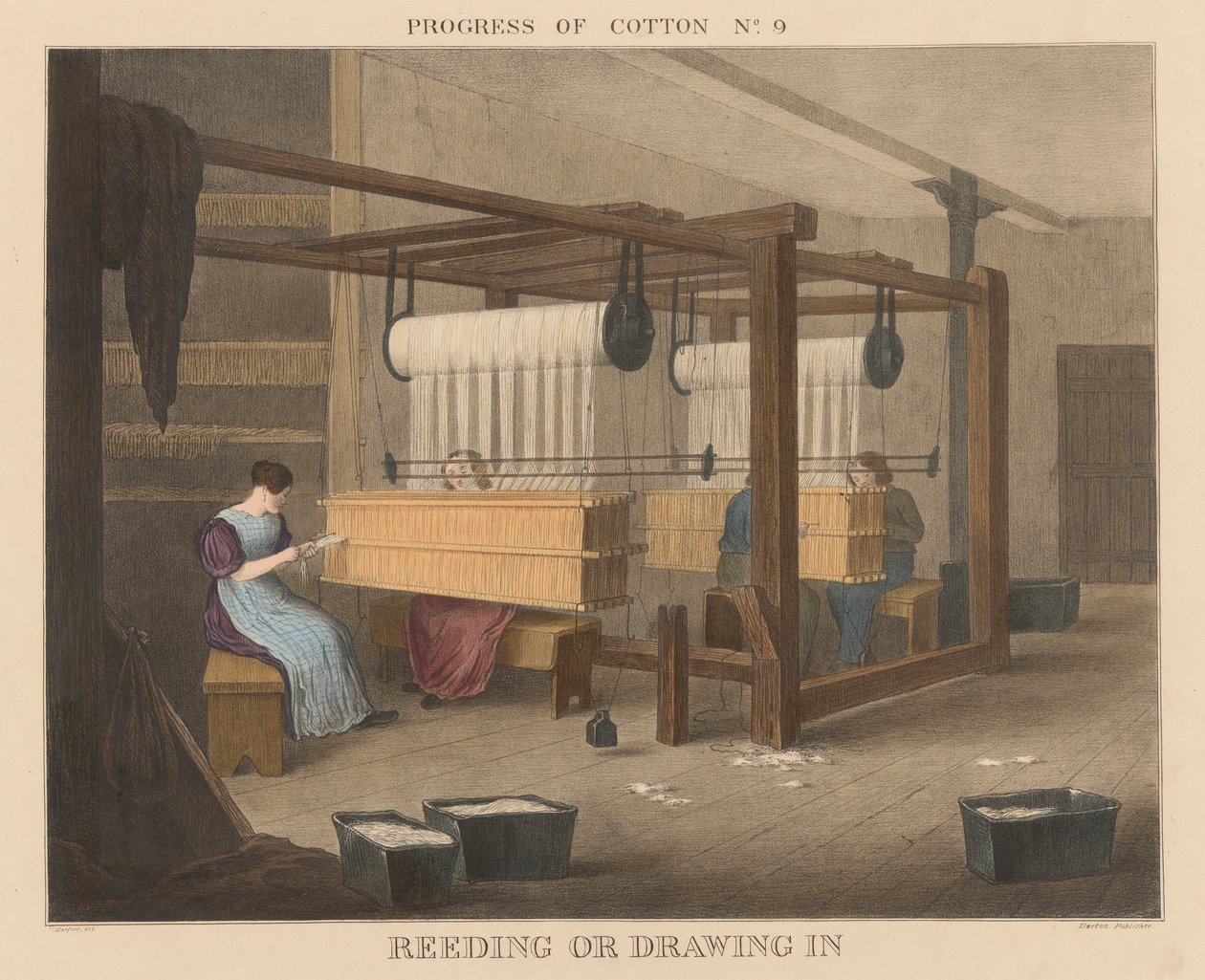 Progrès du coton : #9 - Reeding ou drawing in - James Richard Barfoot