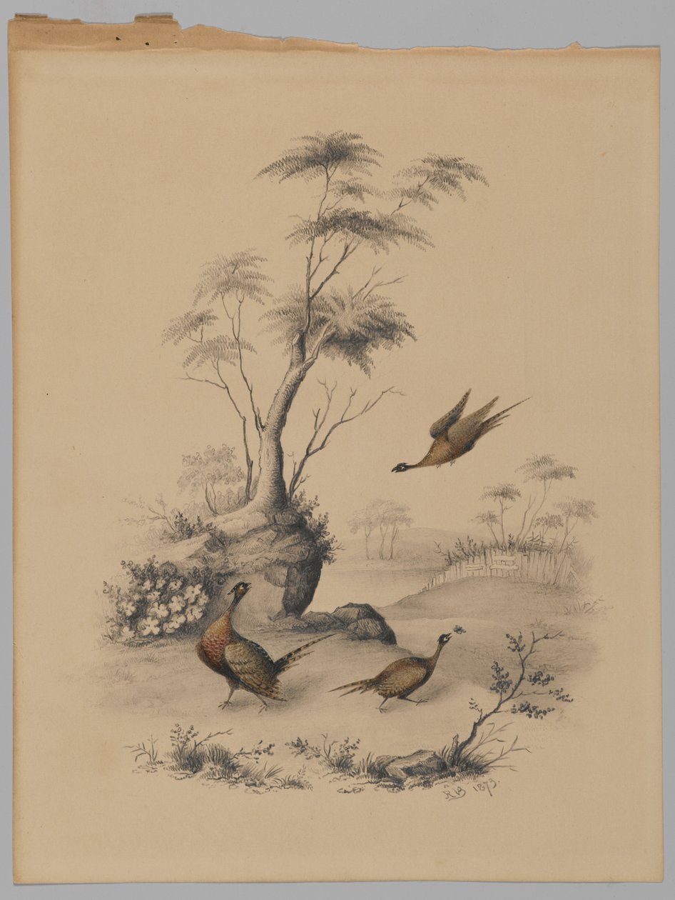 Trois faisans, 1873 - James Ryder van Brunt