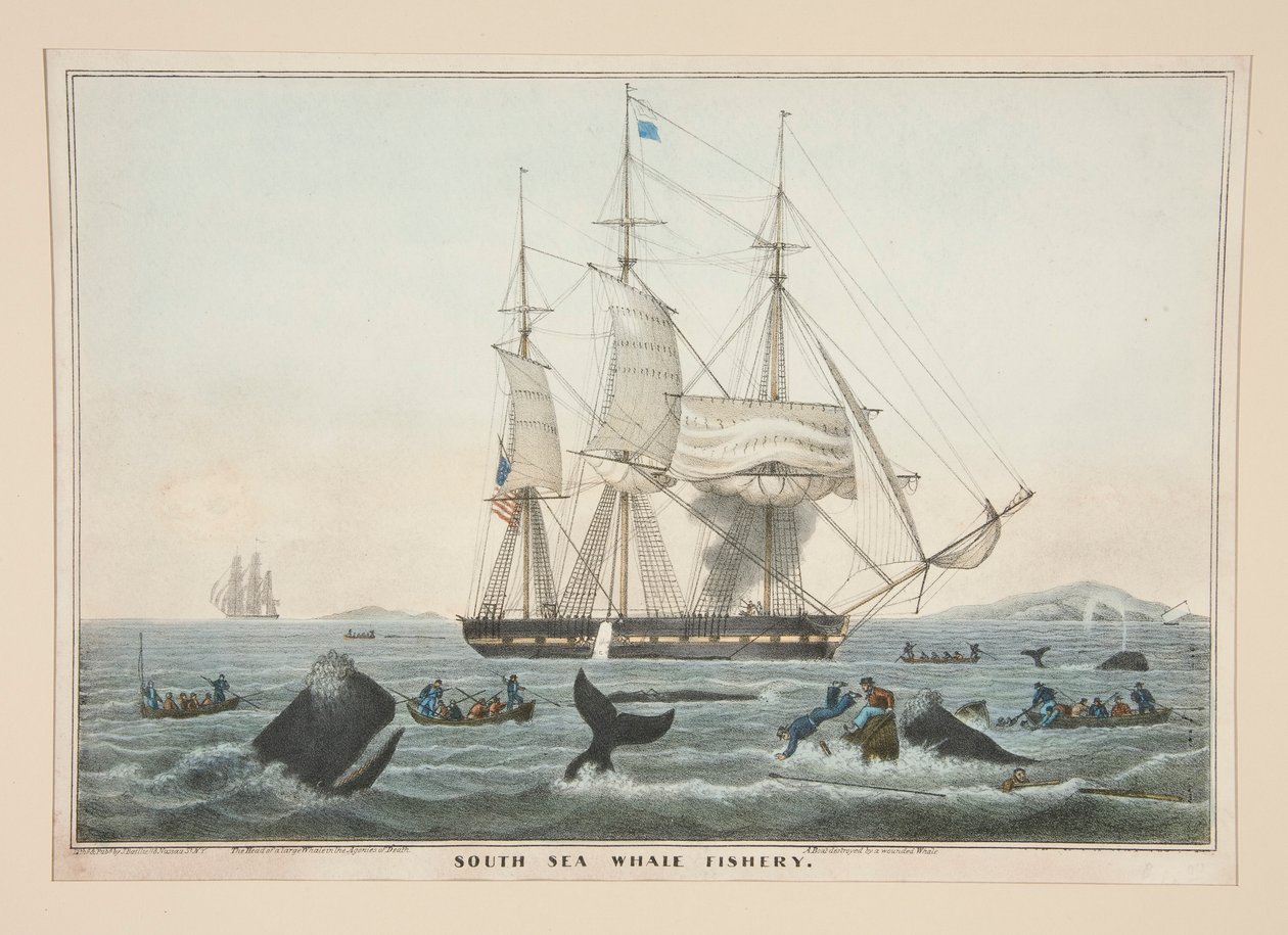 Pêche à la baleine dans les mers du Sud - James S. Baillie