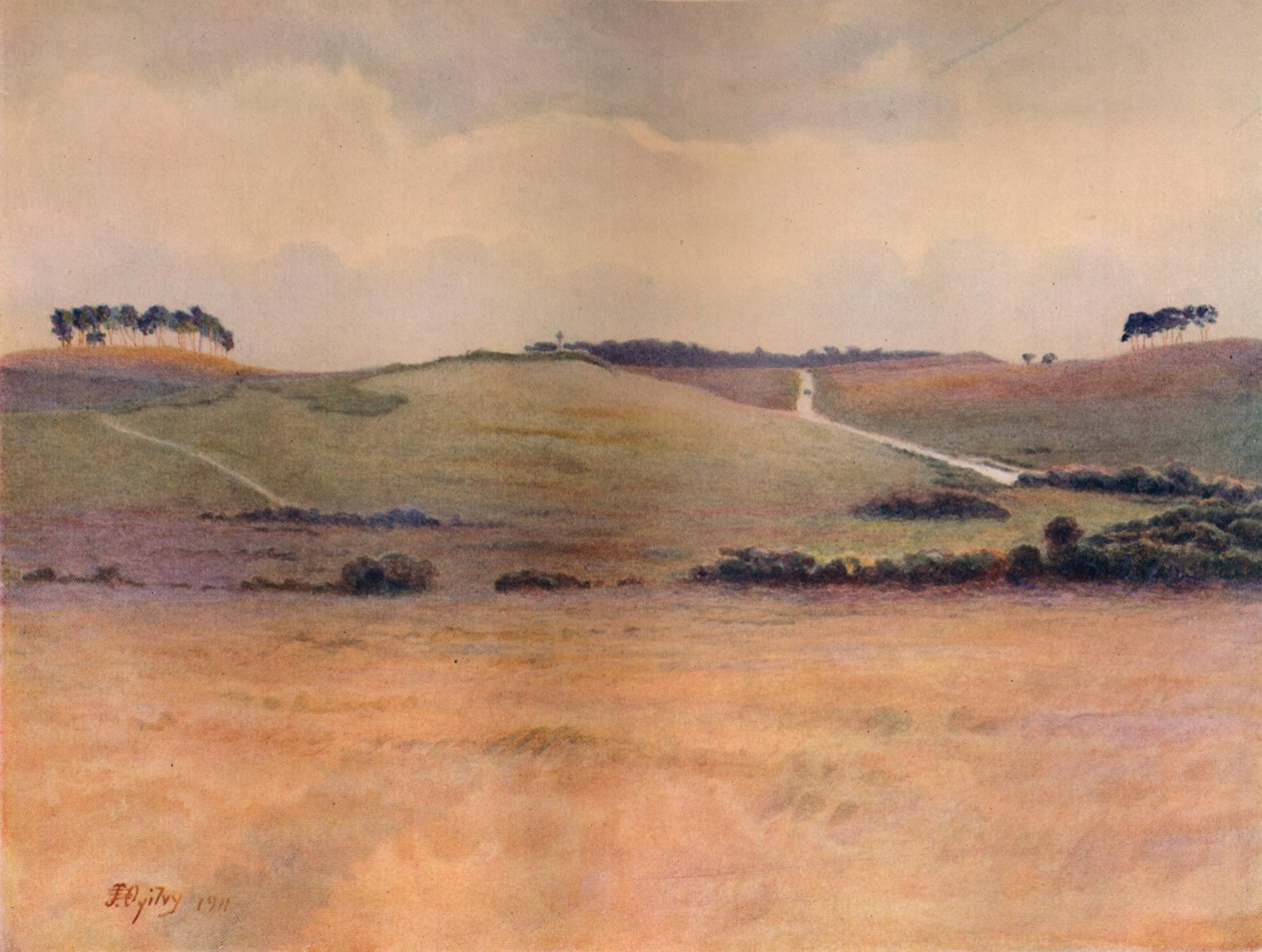Chobham Common - James S Ogilvy