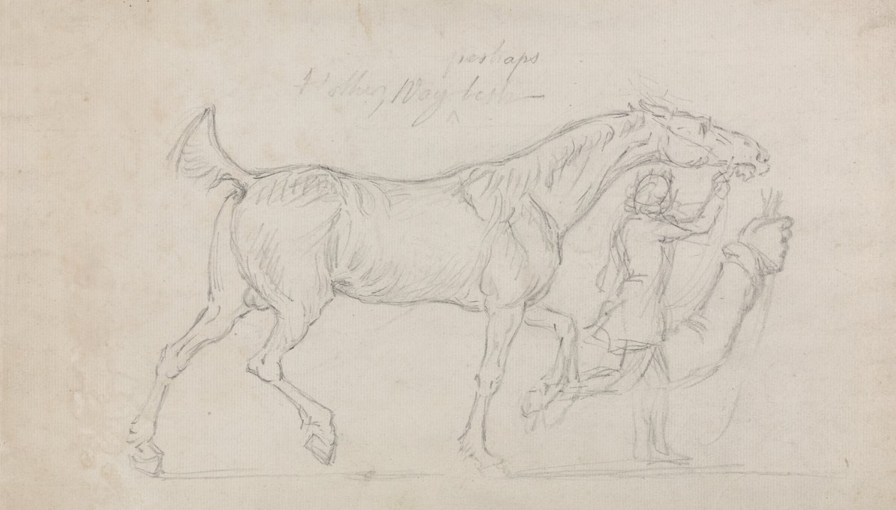 Homme menant un étalon trottant à droite - James Seymour