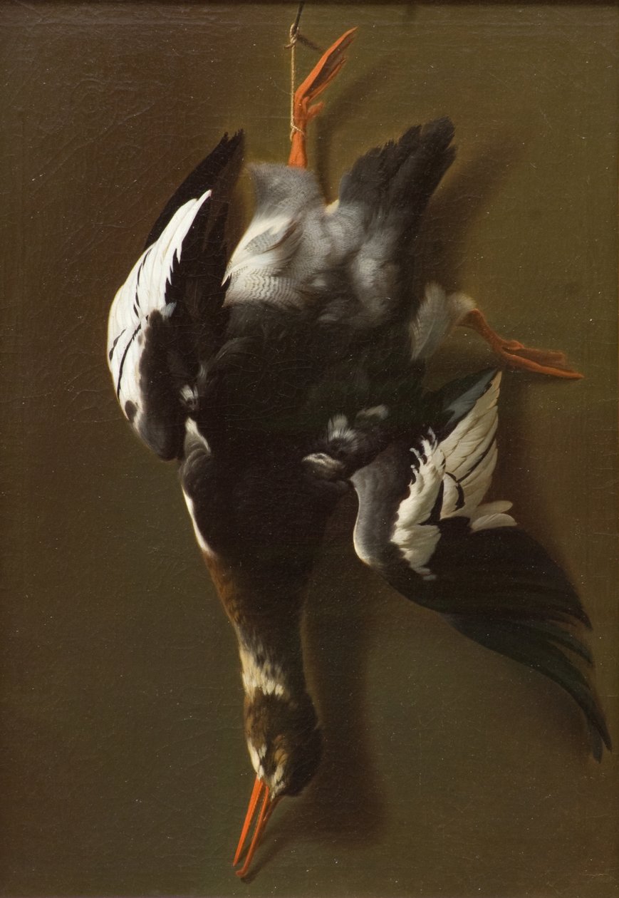 Volaille morte - James Thom
