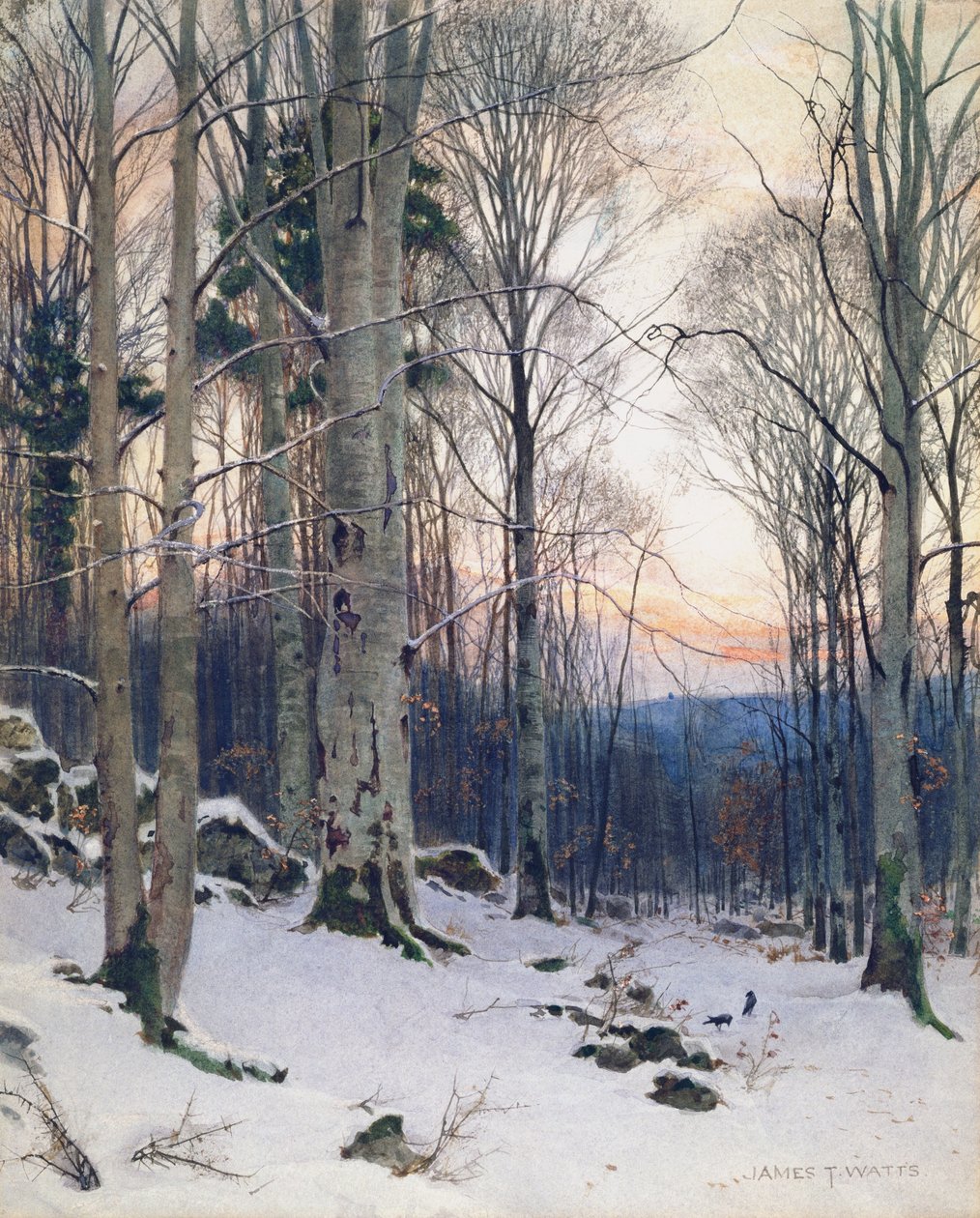 Crépuscule, bois de hêtres - James Thomas Watts