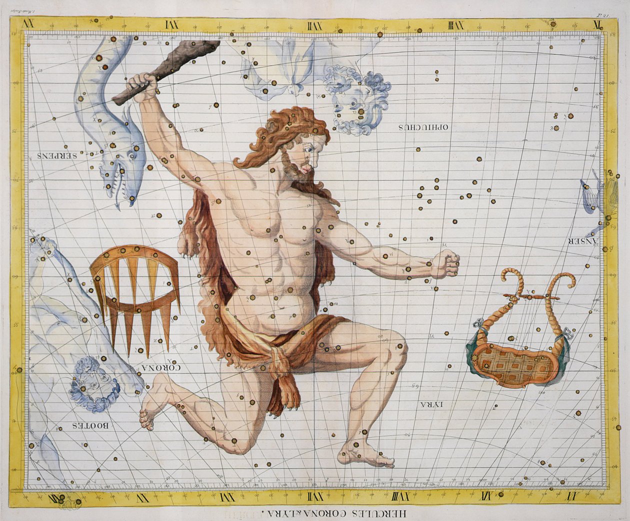 Constellation d