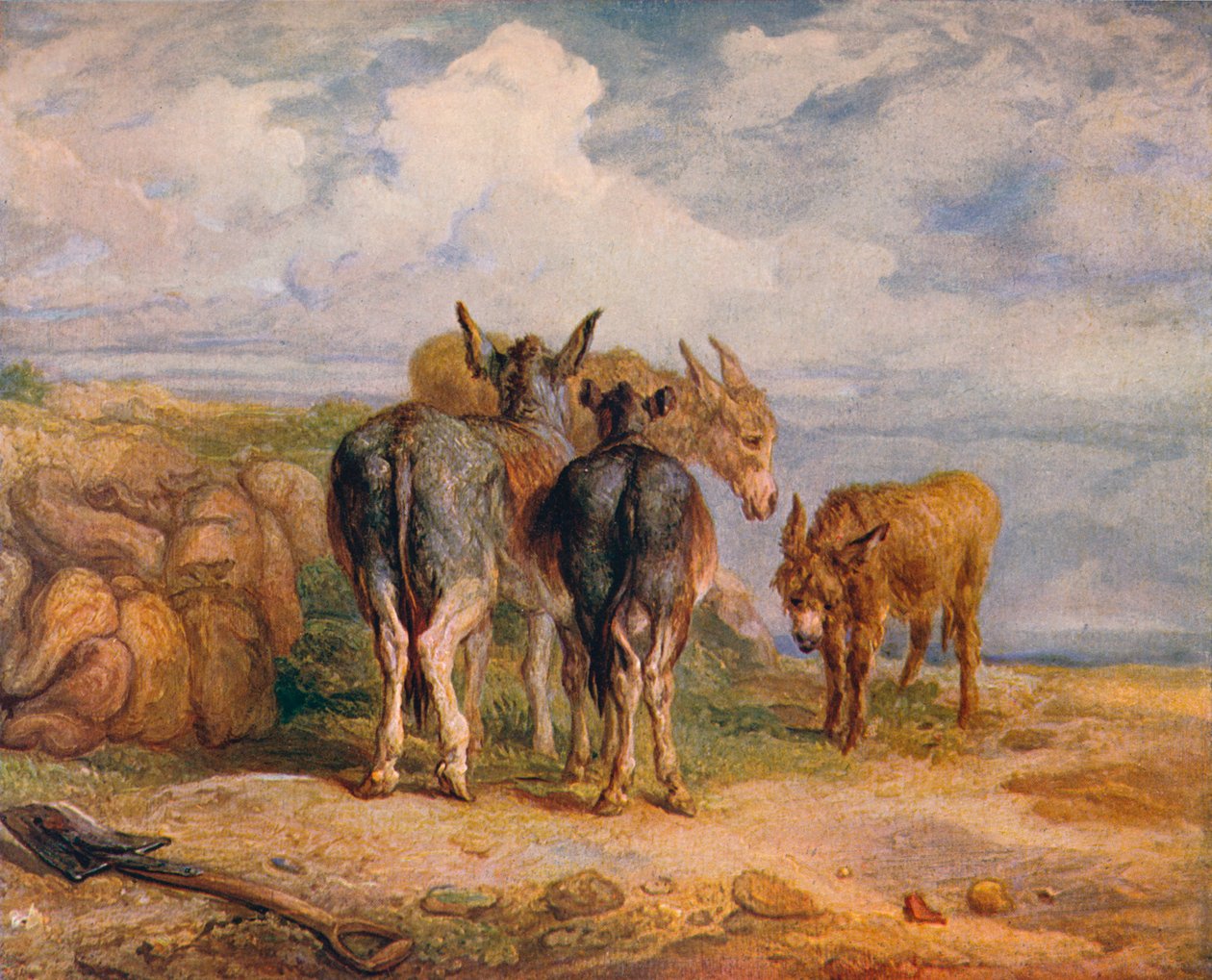 Ânes, vers 1831, 1904 - James Ward