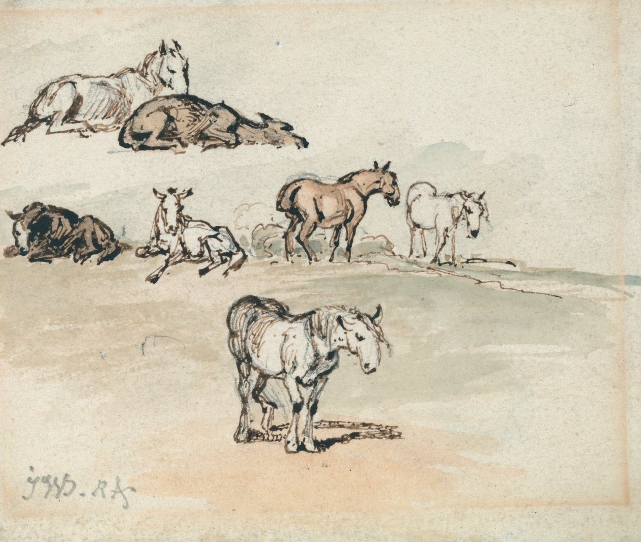 Études de chevaux - James Ward