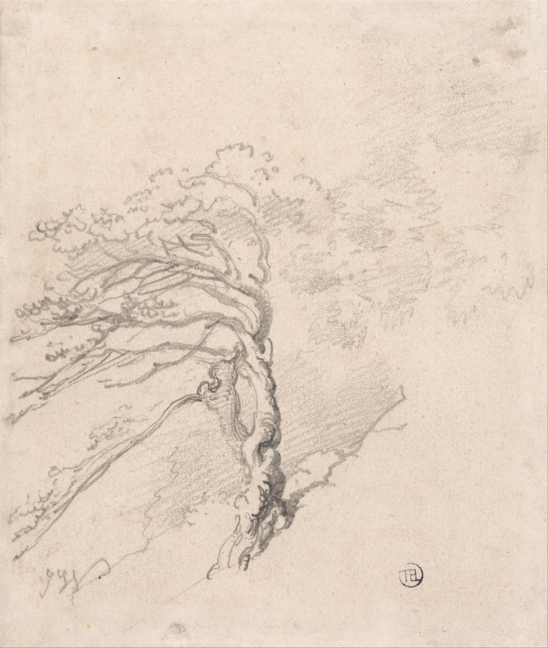 Arbre à flanc de colline - James Ward