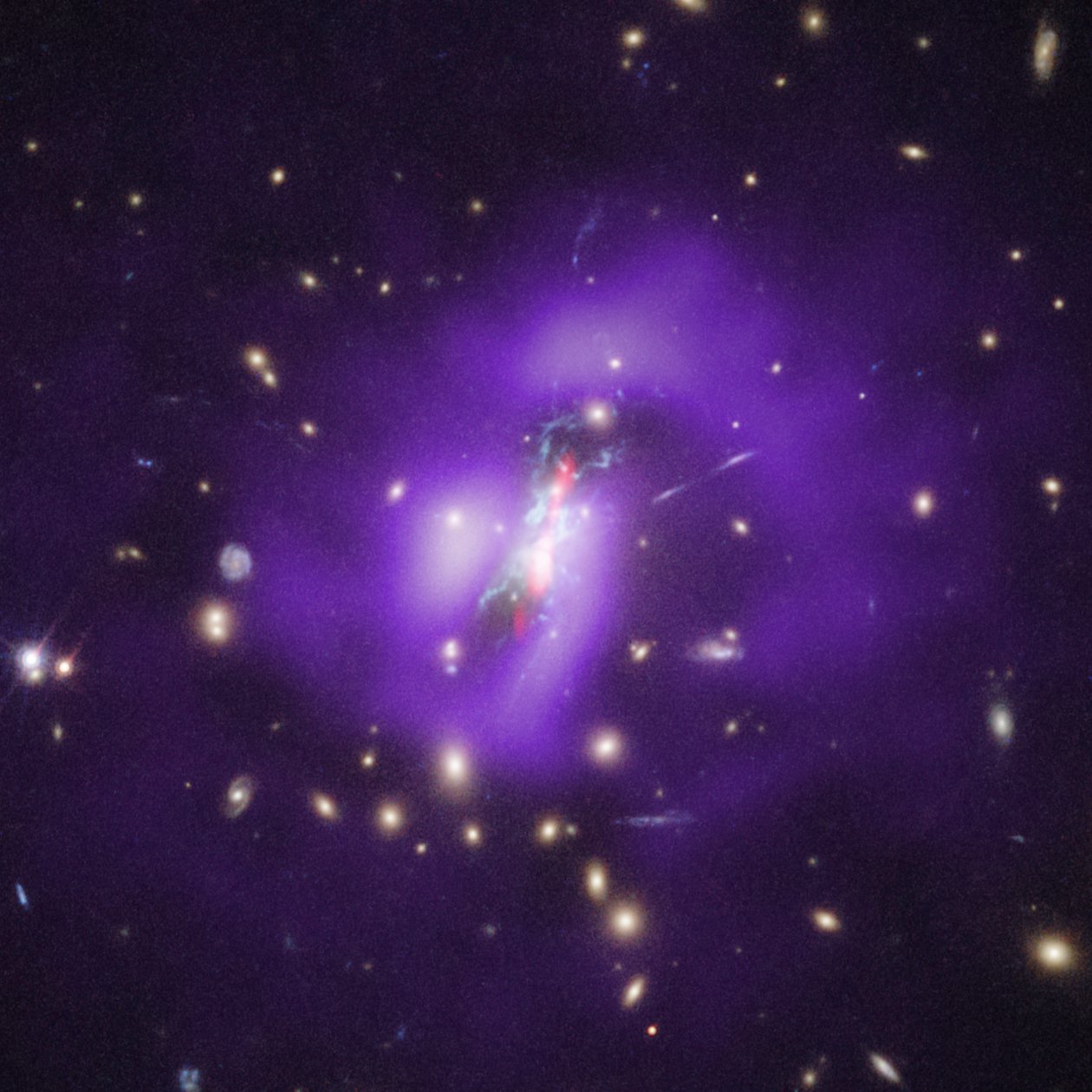 Amas de Phoenix (Hubble, Chandra, VLA) - James Webb Space Telescope (NASA)