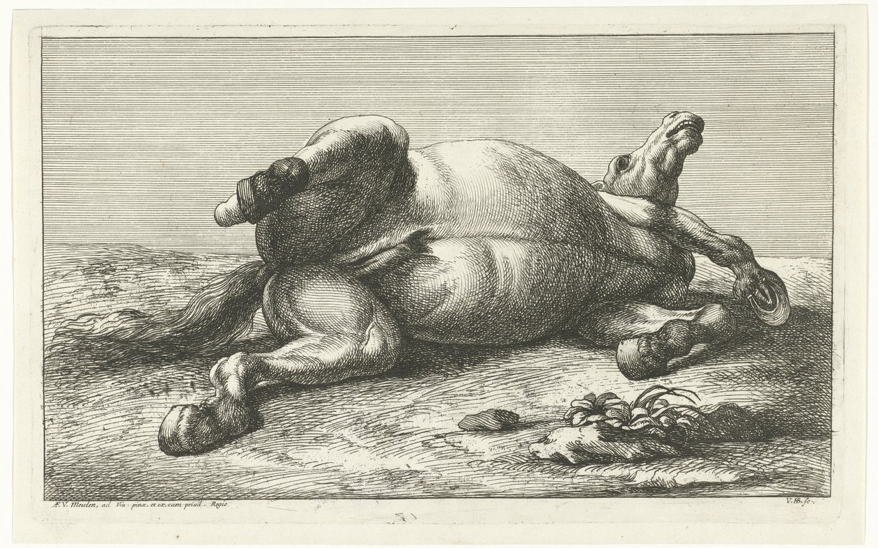 Chevaux tués au combat allongés sur le dos - Jan van Huchtenburgh  