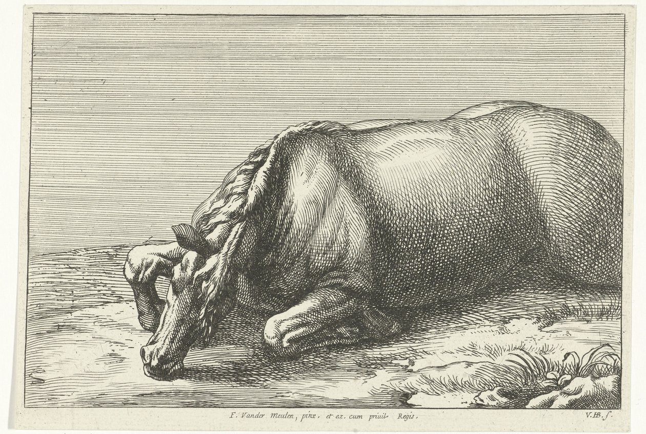Cheval tué vu de côté gauche - Jan van Huchtenburgh