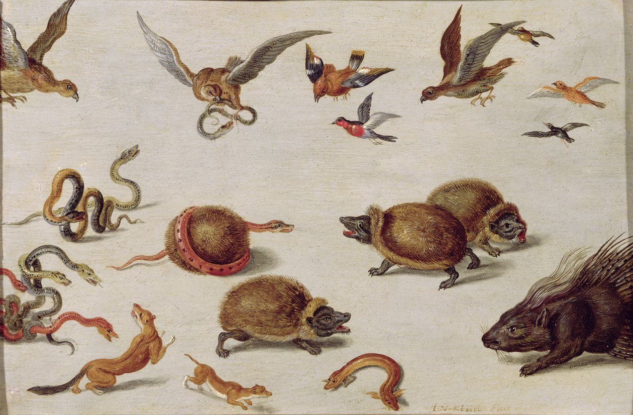 Les ennemis des serpents - Jan van Kessel the Elder