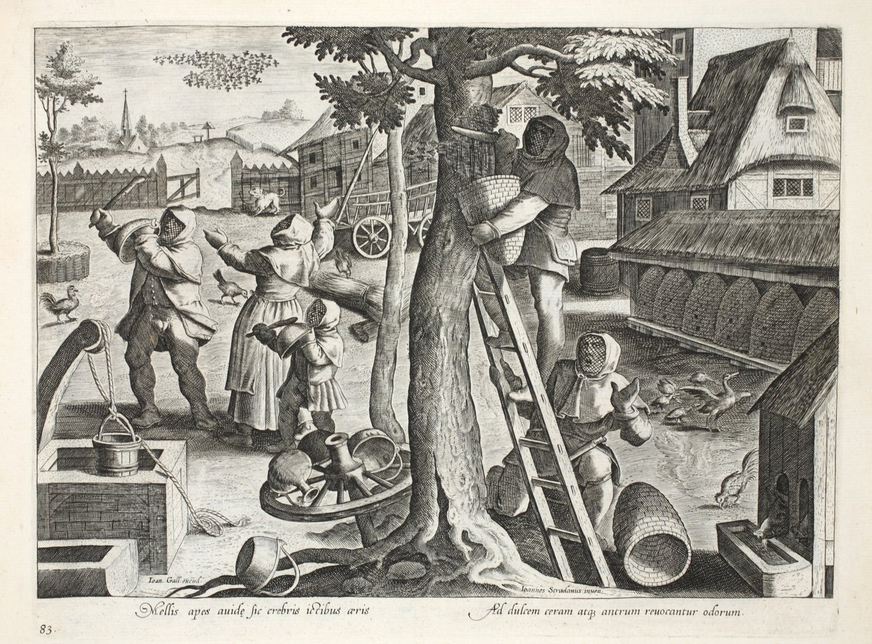 Apiculteurs, planche 83, illustration de 