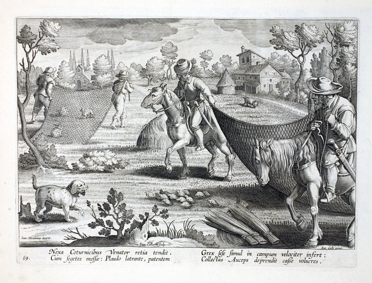 Chasse aux cailles, illustration de 