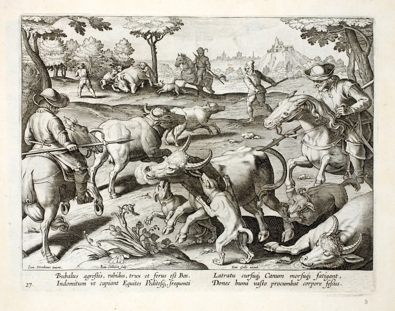 Chasse au bœuf sauvage, illustration de 