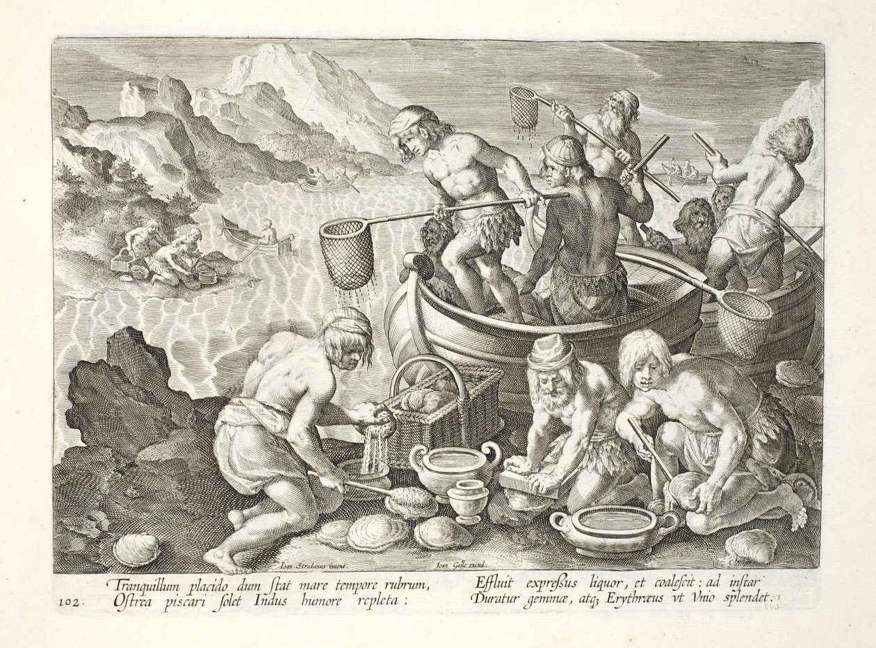 Autochtones pêchant des palourdes géantes sur l