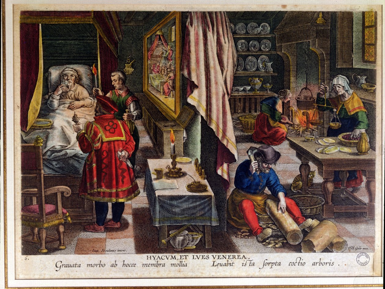 Préparation et utilisation du guayaco pour traiter la syphilis, gravé par Philip Galle (1537-1612) c.1570 - Jan van der Straet