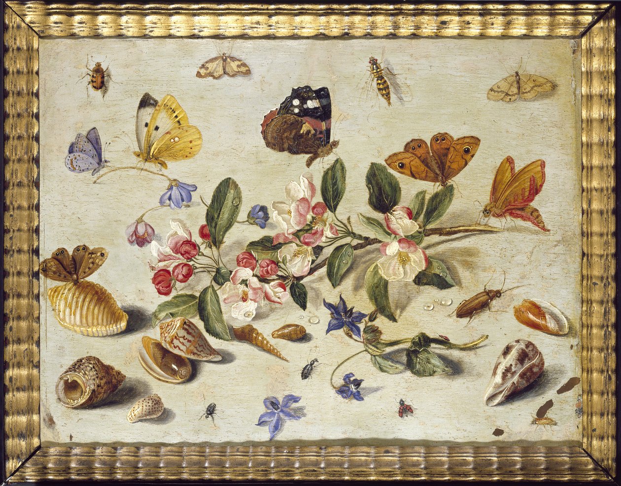 Étude de fleurs et d