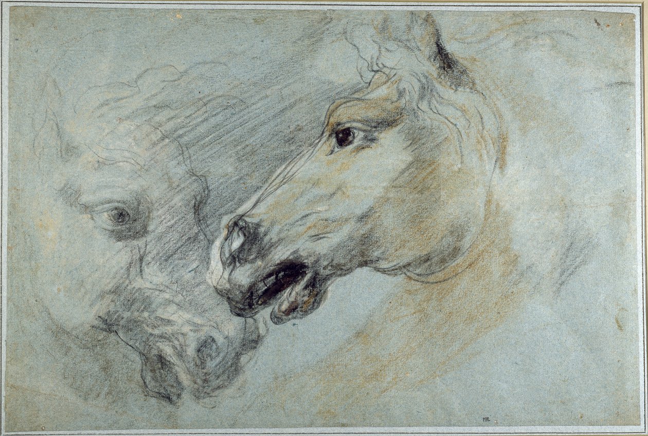 Deux études de tête de cheval - Jan Boeckhorst