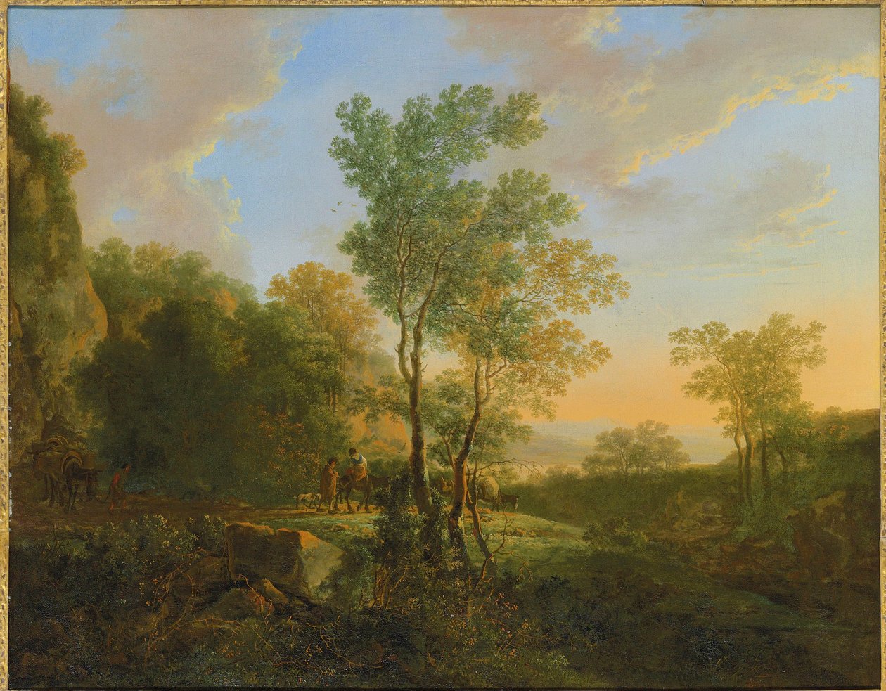 Un paysage boisé à l