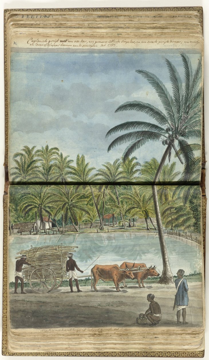 Vue de Ceylan avec une charrette à bœufs, un Cinghalais accroupi et un huissier noir - Jan Brandes