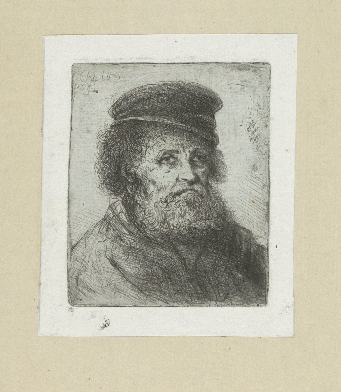 Vieil homme avec barbe et casquette - Jan Chalon