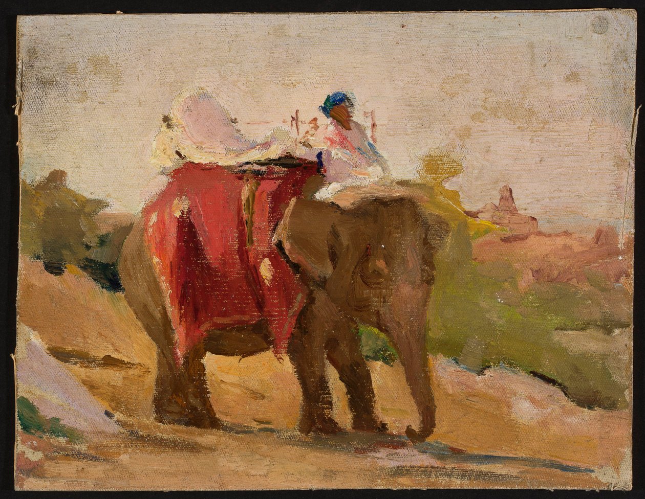 Chitorgarh – mon éléphant. Extrait de mon voyage en Inde - Jan Ciągliński