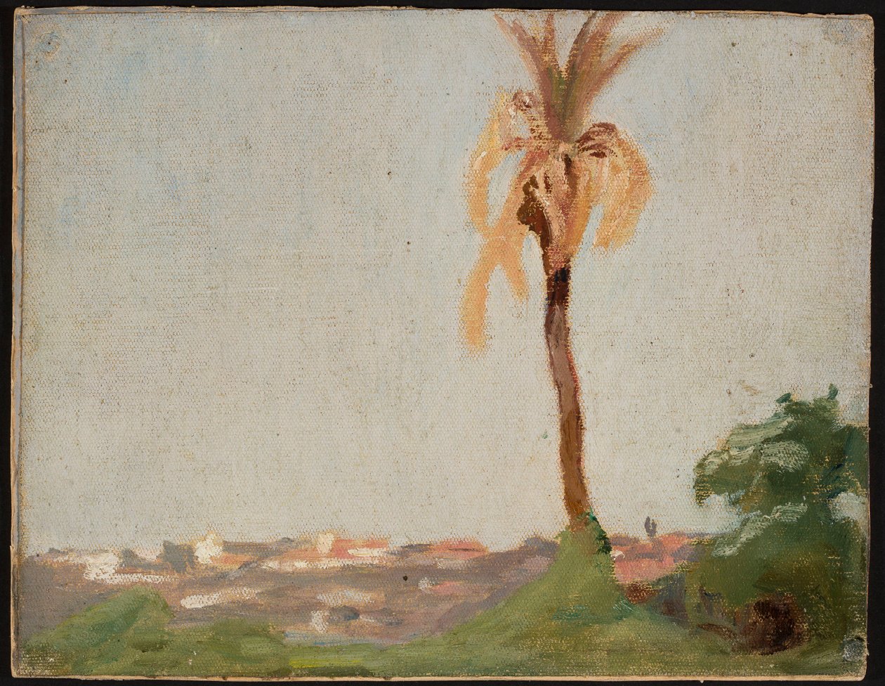 Tombeau du saint - Paysage avec un palmier. D