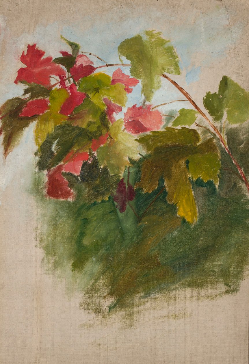 Feuilles de vigne - Jan Ciągliński