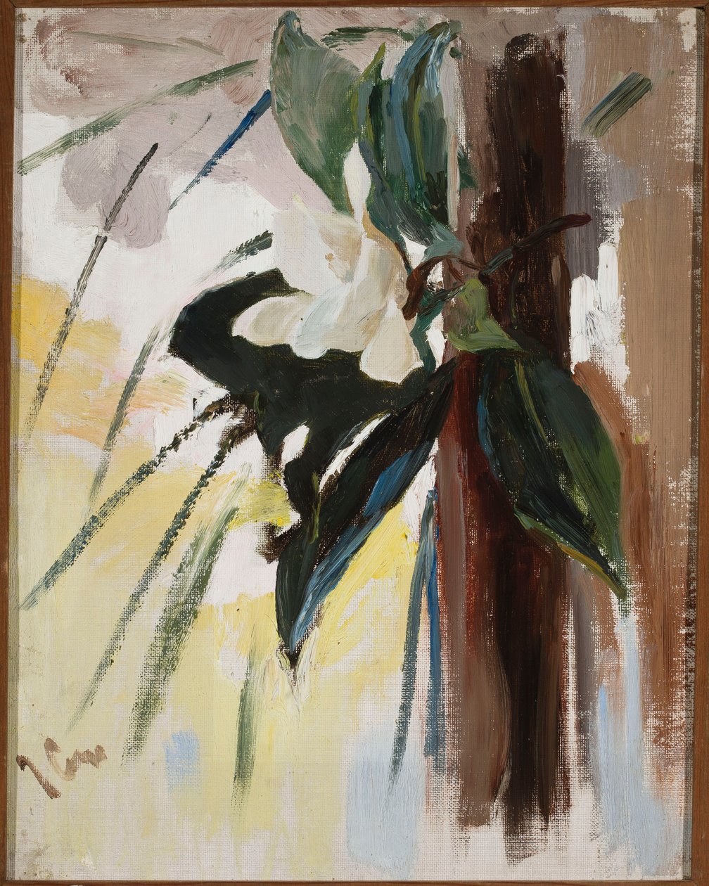 Magnolia - Jan Ciągliński