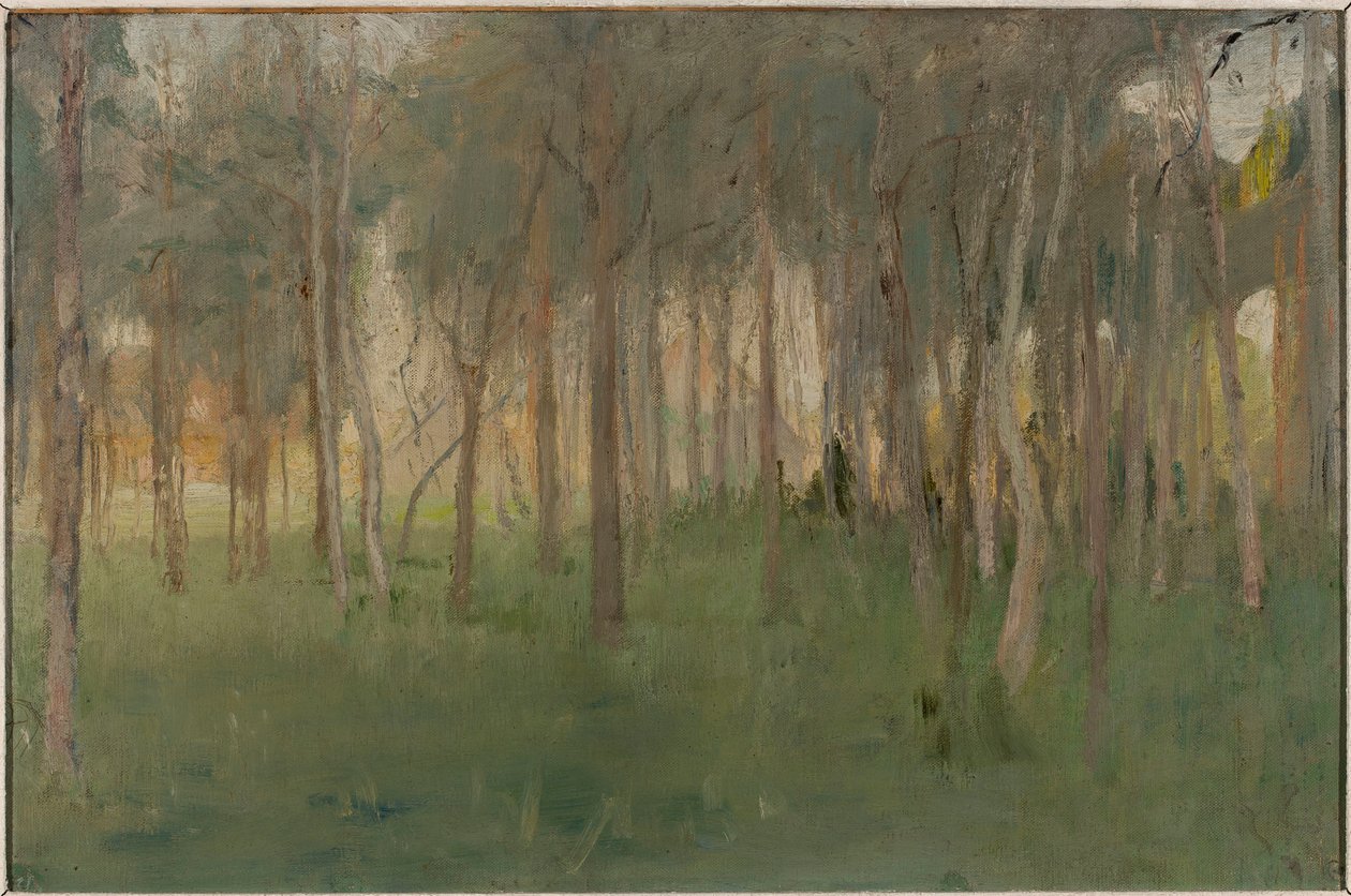 Marino - Bosquet - Jan Ciągliński