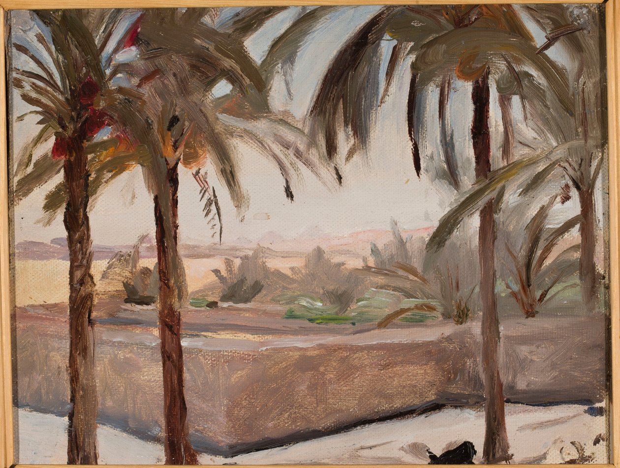 Des palmiers devant les pyramides. Extrait d