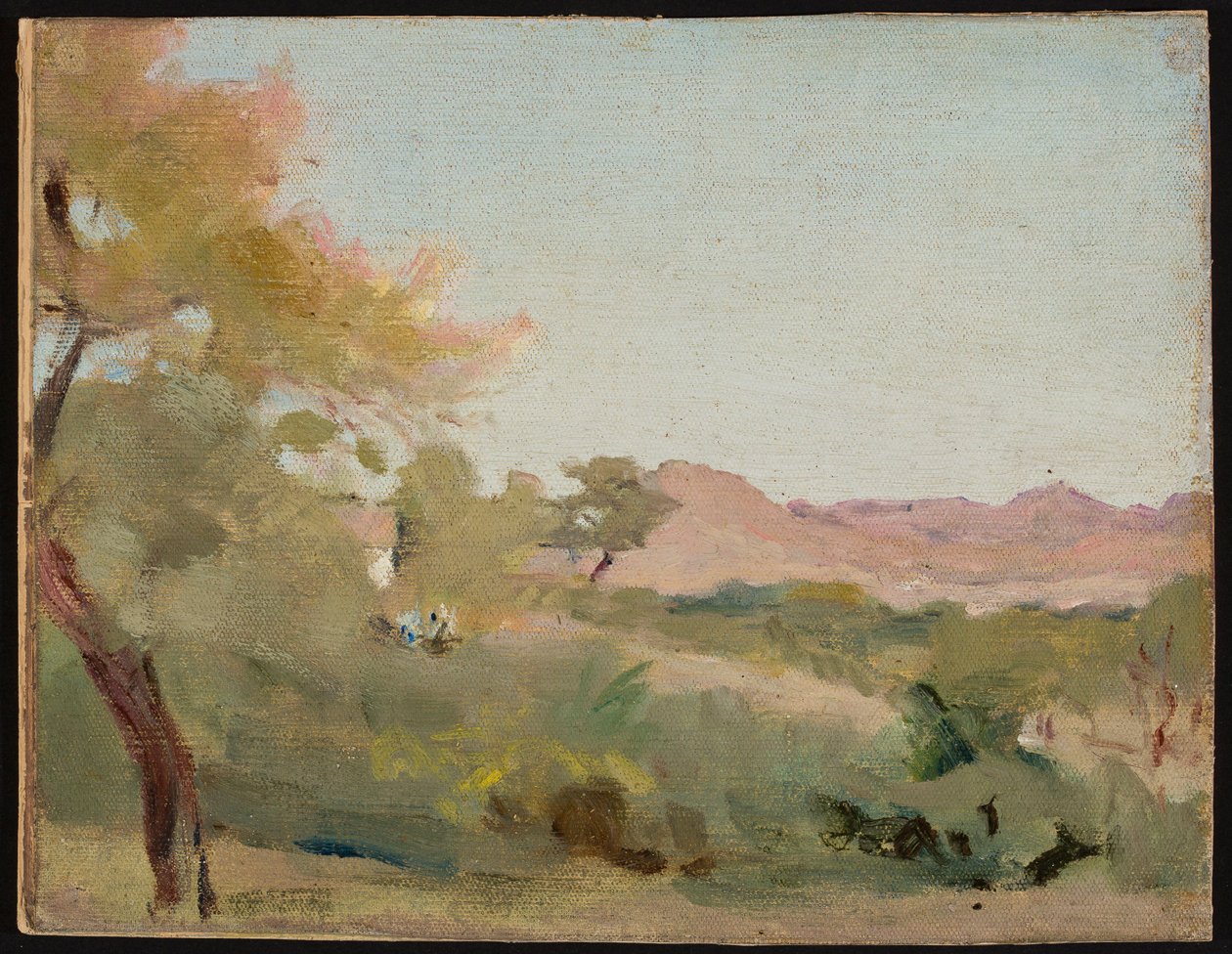 Udaipur - paysage indien. D