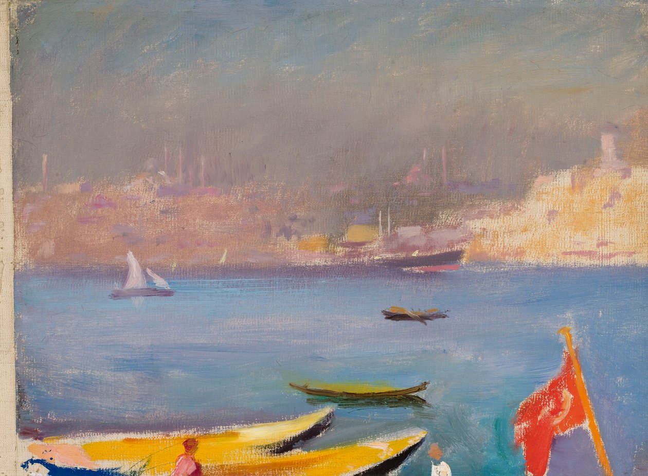 Vue de Constantinople. Extrait de « Voyage à Constantinople » - Jan Ciągliński