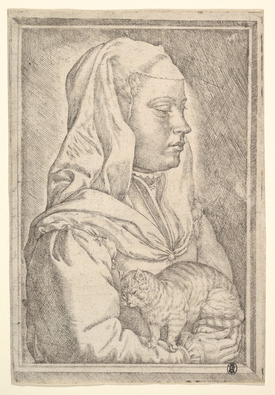 Fille avec un chat - Jan Cornelisz Vermeyen