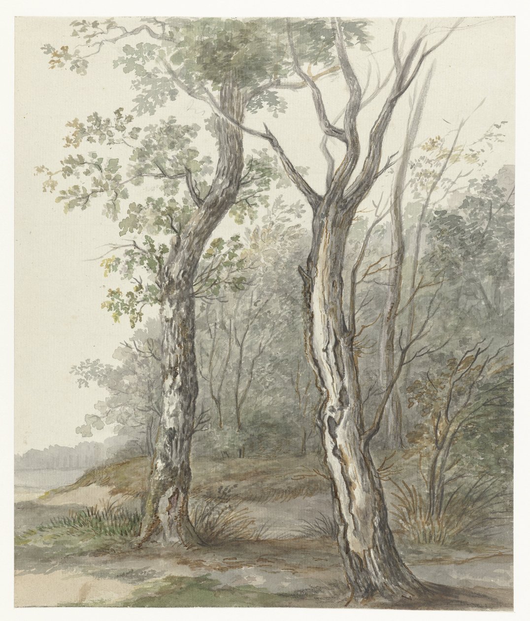 Paysage forestier - Jan Dasveldt