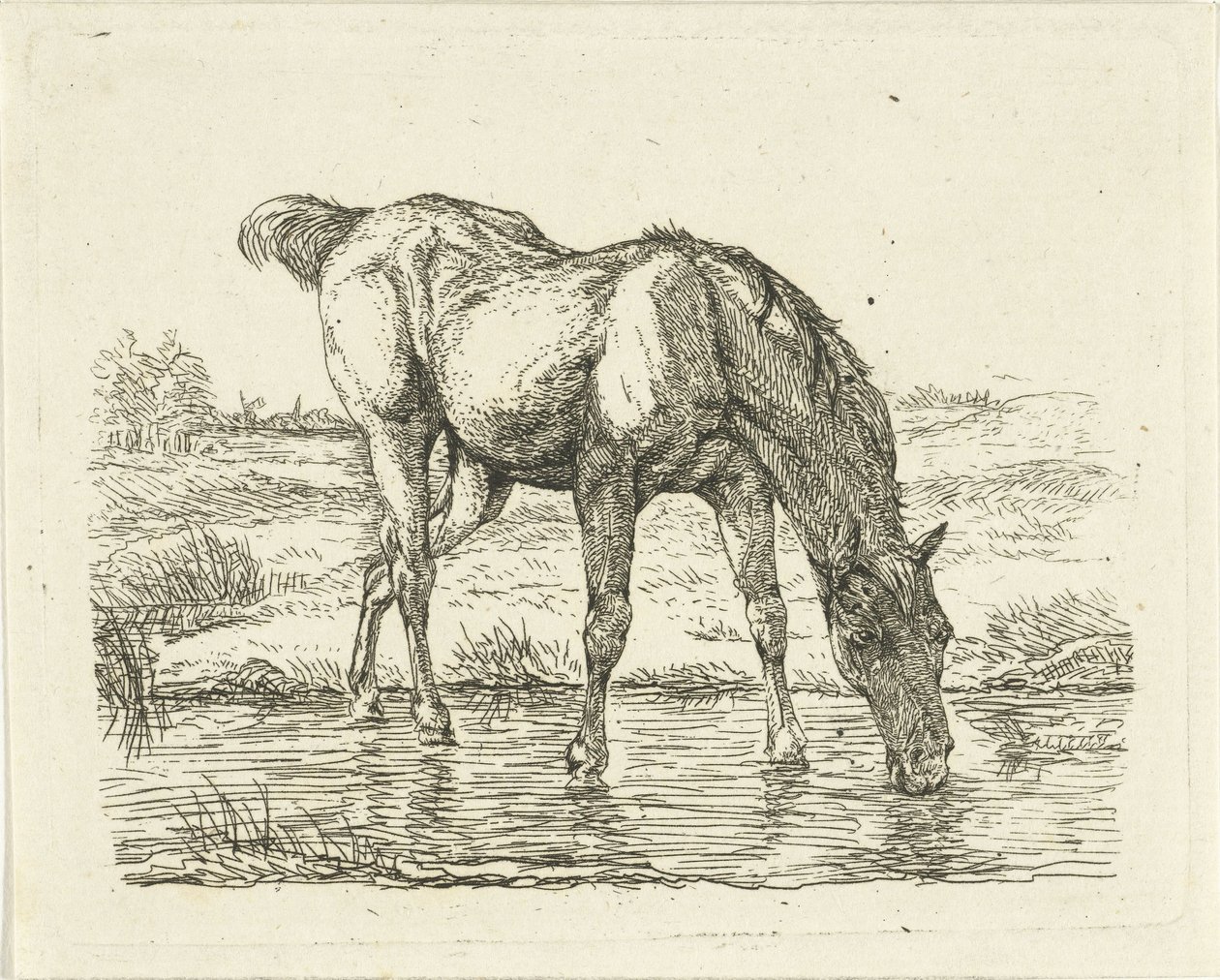 Cheval buvant - Jan Dasveldt