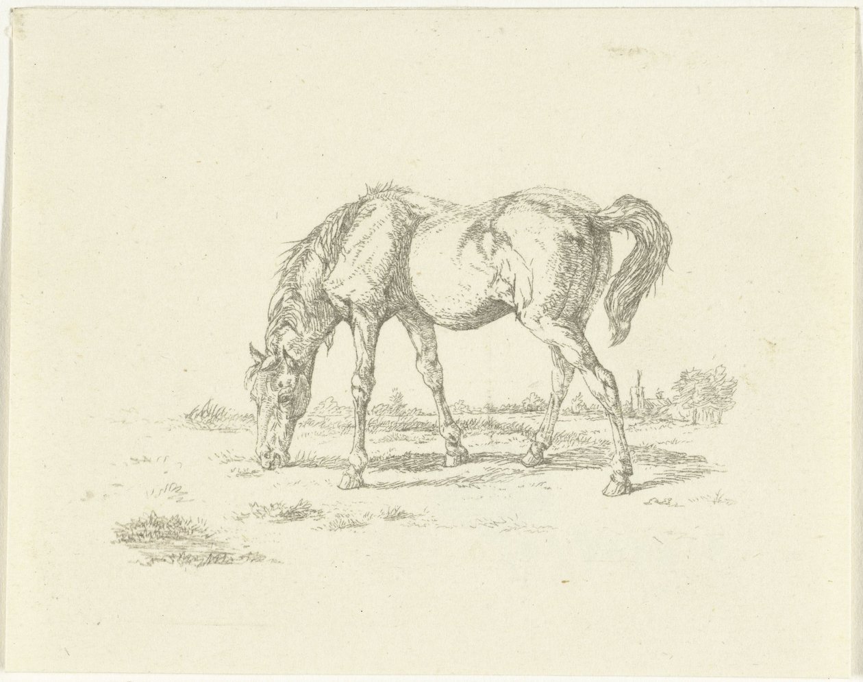 Cheval broutant vers la droite - Jan Dasveldt